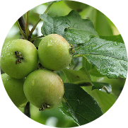 A zoomed-in hospital setting showing a patient's hand being held by a loved one